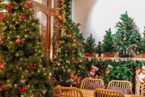 Trang trí Noel Huyện Quốc Oai - Biến Giấc Mơ Giáng Sinh Thành Hiện Thực