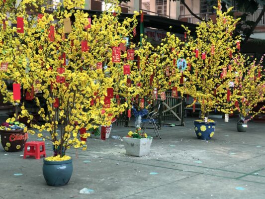 Trang trí Tết Huyện Bình Chánh – Ý tưởng sáng tạo, không gian tươi mới đón Xuân