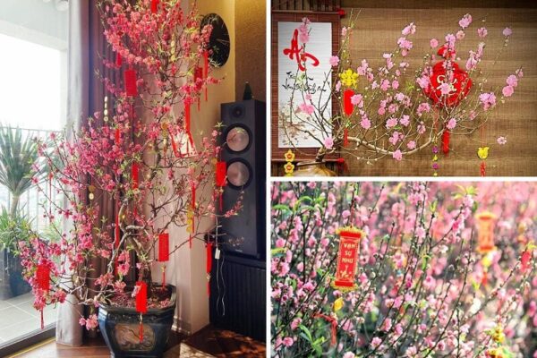 Trang Trí Tết 2025 Quận Nam Từ Liêm – Bí Quyết Mang Không Khí Xuân Đến Từng Nhà