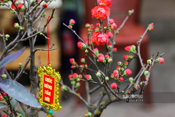 Trang Trí Tết 2025 Tại Quận 11 - Mang Đến Không Gian Xuân Tươi Mới Cho Mọi Nhà