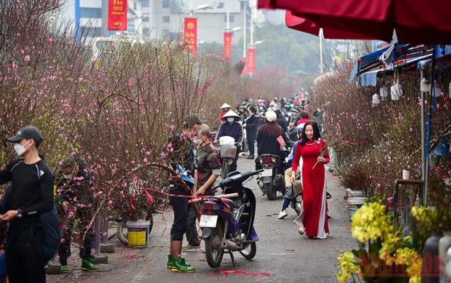 Trang Trí Tết Quận Hoàn Kiếm – Tạo Dựng Không Gian Tết Đầy Sắc Màu và Ý Nghĩa