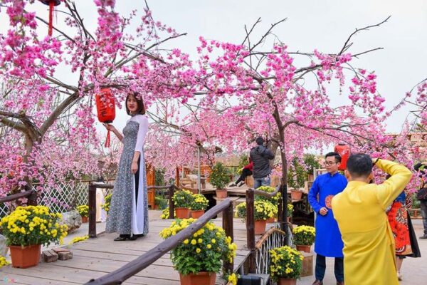 Trang Trí Tết Huyện Hoài Đức – Tạo Không Gian Tết Ấm Cúng và Đặc Sắc