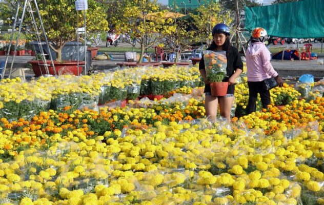 Trang Trí Tết Quận Hà Đông: Ý Tưởng Độc Đáo Mang Đến Không Gian Rộn Ràng Xuân Về