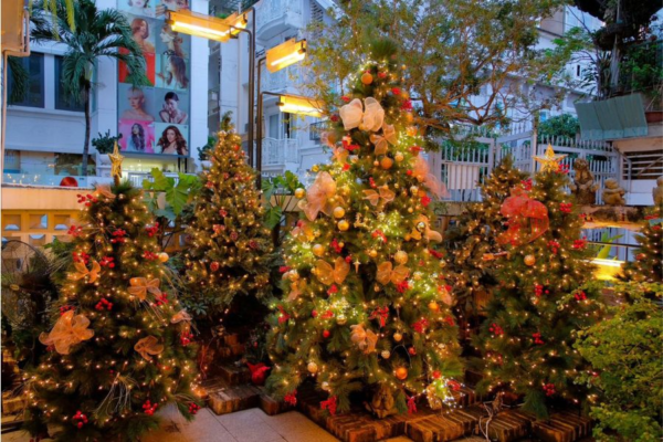 Trang trí Noel Quận Tây Hồ – Mang không khí Giáng Sinh ấm áp đến từng góc phố