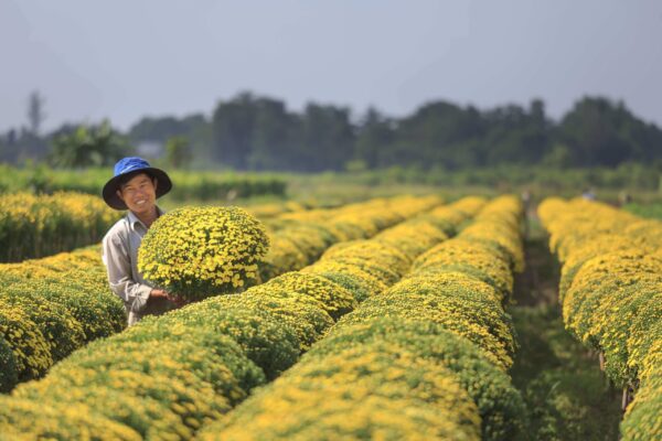 Trang trí Tiểu Cảnh Tết – Tạo không gian Tết thêm rộn ràng, đầm ấm