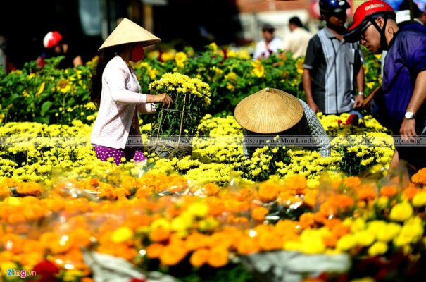 Trang Trí Tết Cổ Truyền Quận 11 – Đem Nét Đẹp Tết Xưa Về Với Hiện Đại