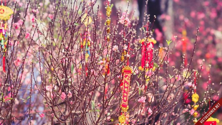 Trang trí Tết Cổ Truyền Quận Gò Vấp – Mang Tết Về Mỗi Nhà