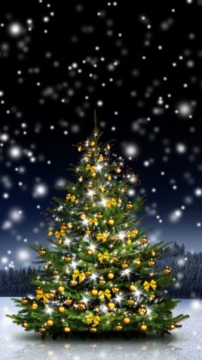 Trang Trí Noel Bến Tre: Không Khí Giáng Sinh Sắc Màu