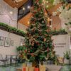 Trang trí Noel Quận Đống Đa – Lựa chọn hoàn hảo cho mùa lễ hội