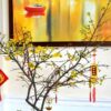Trang Trí Tết 2025 Quận Đống Đa – Bí Quyết Mang Tết Rộn Ràng Về Nhà