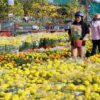Trang Trí Tết Quận Hà Đông: Ý Tưởng Độc Đáo Mang Đến Không Gian Rộn Ràng Xuân Về