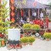 Trang Trí Tiểu Cảnh Tết Quận Tây Hồ – Không Gian Xuân Rộn Ràng, Tươi Mới
